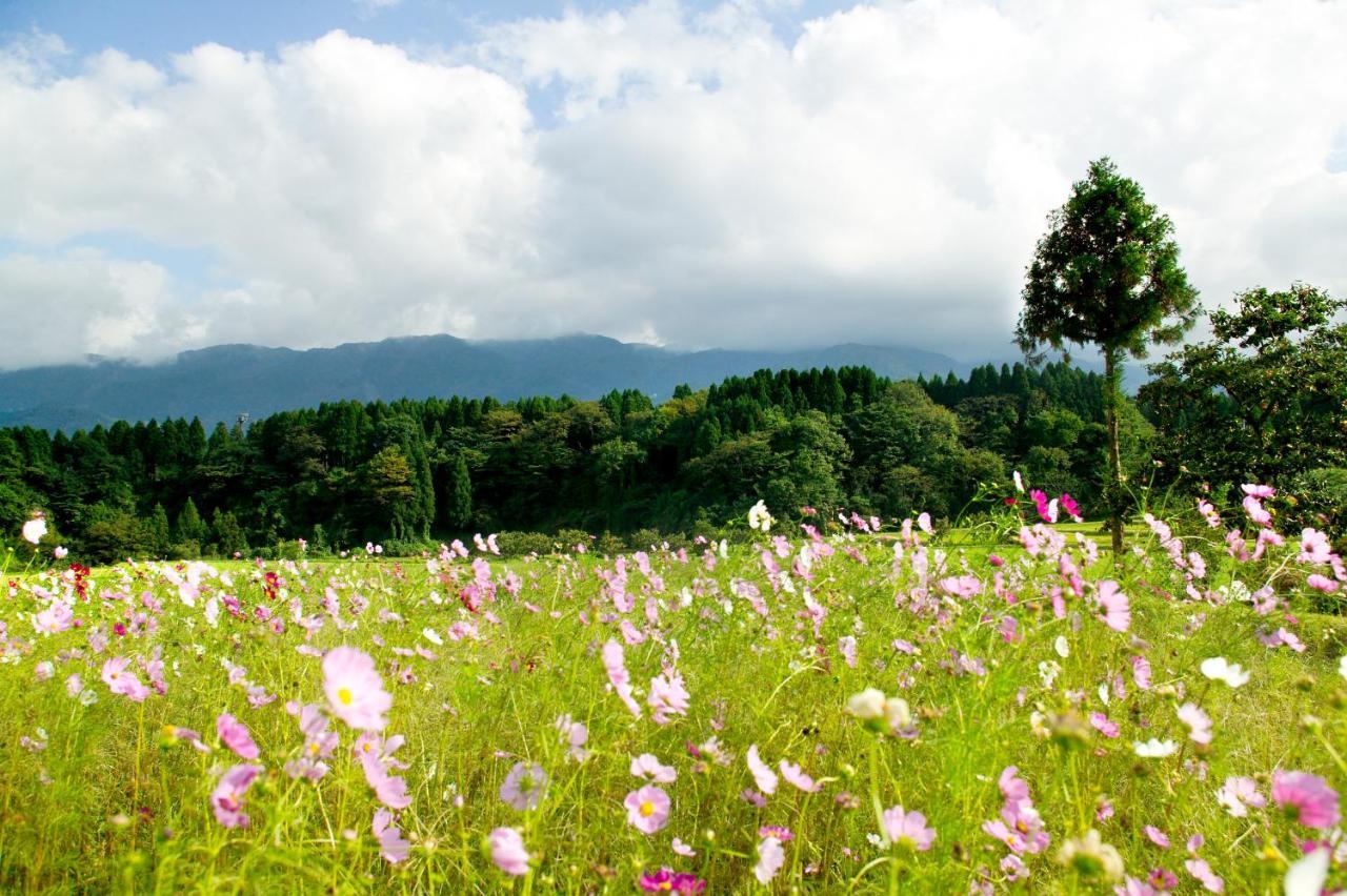 Satoyama No Auberge Maki No Oto Nanto Dış mekan fotoğraf